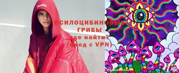 ГАЛЛЮЦИНОГЕННЫЕ ГРИБЫ Алексин